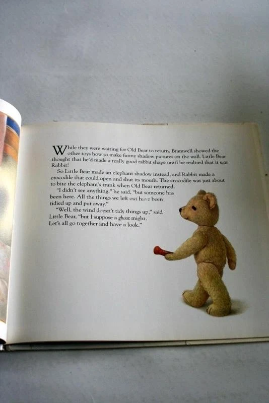 Livre "Hoot" van Jane Hissey – photo 2